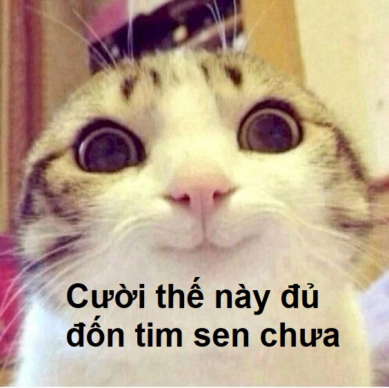 Meme mặt cười