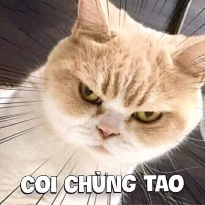 meme hãy cẩn thận với tôi