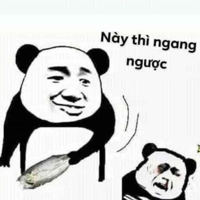 hình ảnh meme hài hước