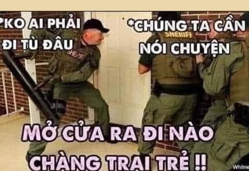 meme fbi mở meme