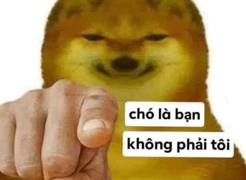 meme chó chỉ tay