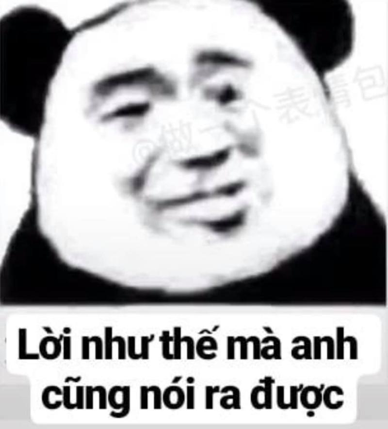 meme gấu trúc bất lực