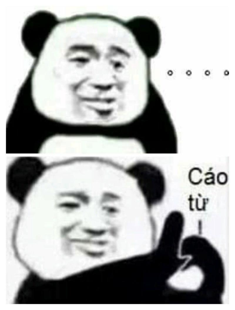 meme gấu trúc Trung Quốc