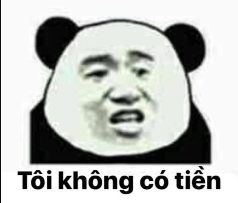 meme gấu trúc không có tiền