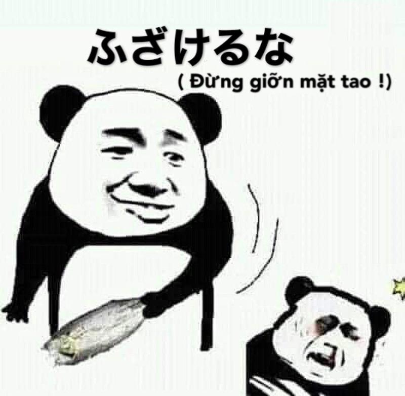 meme gấu trúc đừng đùa với tôi