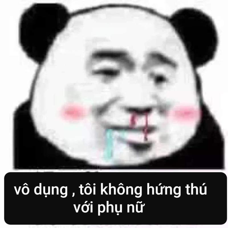 meme gấu trúc bị đánh bại