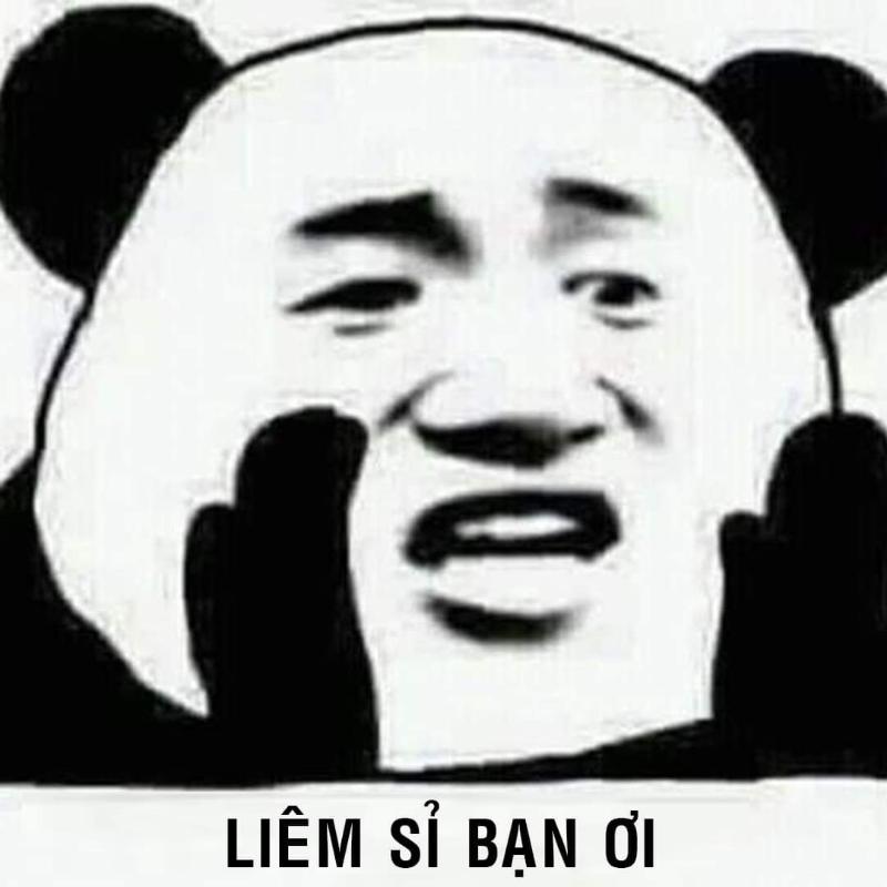 meme gấu trúc vô liêm sỉ bạn tôi