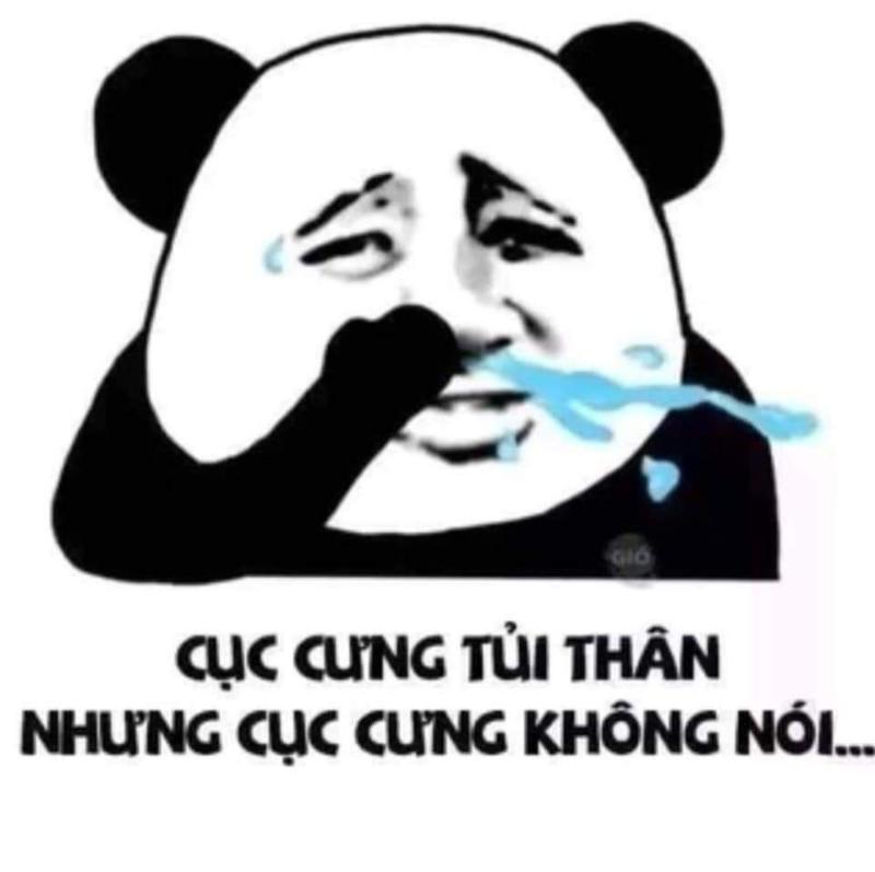 meme gấu trúc buồn 