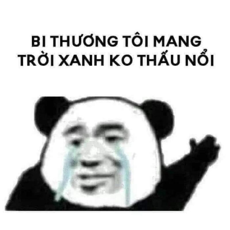 Meme gấu trúc Trung Quốc bất công