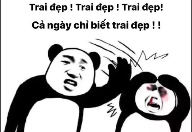 meme trung quốc gấu trúc đẹp trai