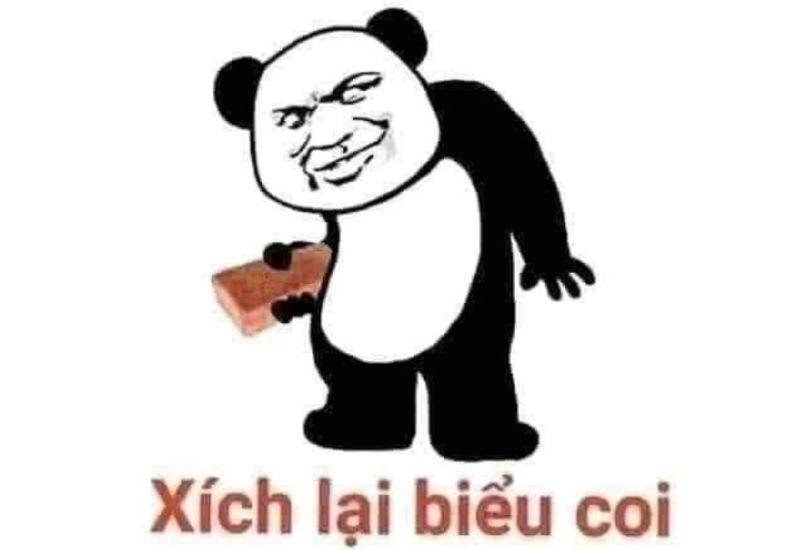 Meme gấu trúc Trung Quốc cầm gạch