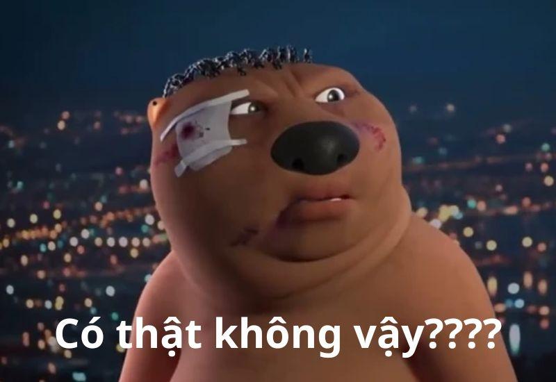 meme hải ly