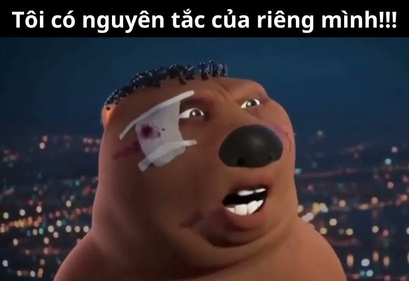 meme hải ly nóng bỏng nhất