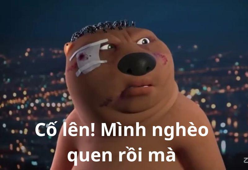 meme hải ly của Trung Quốc nào