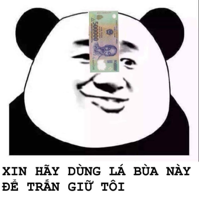 meme gấu trúc