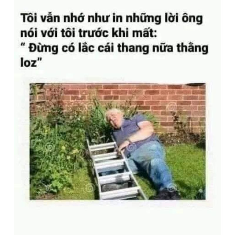 meme tối