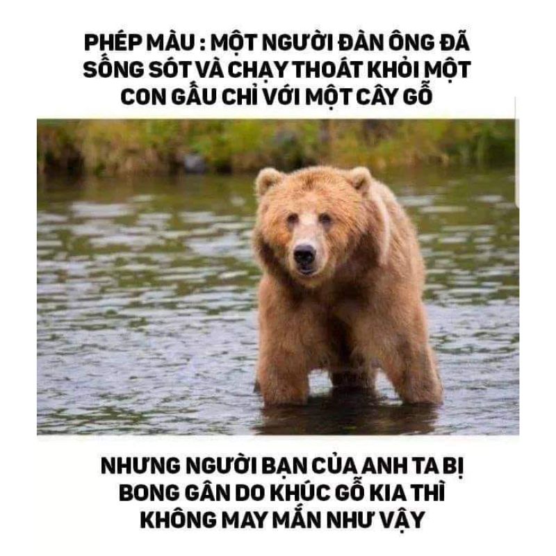 meme cực kỳ đen tối