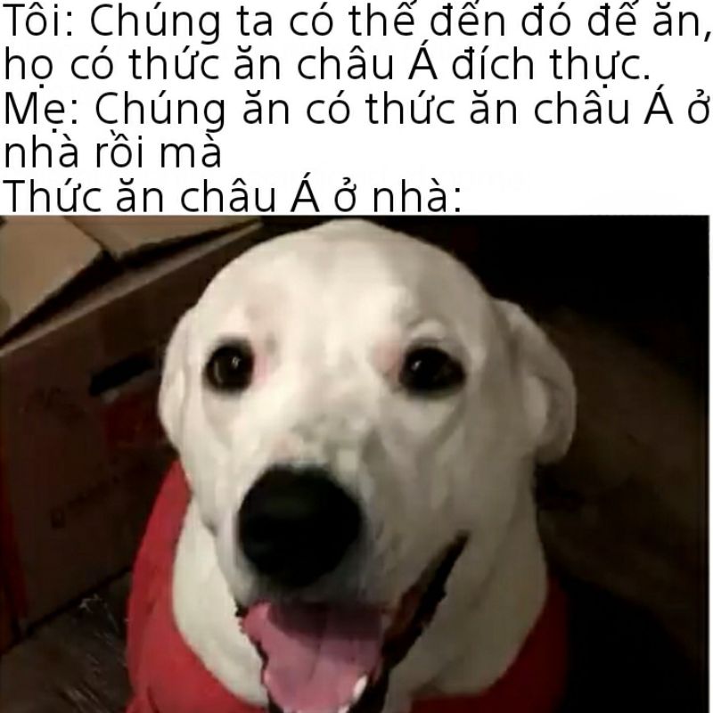 ảnh meme đen tối