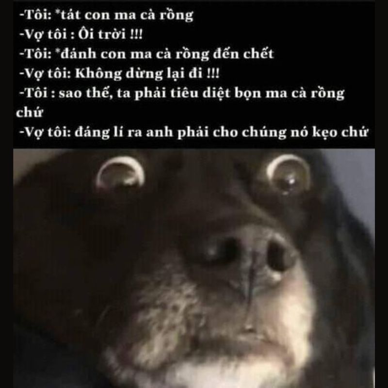 hình ảnh meme tối rất tối