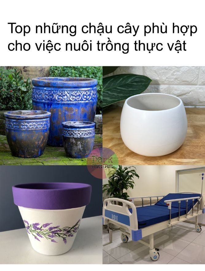 hình ảnh meme siêu tối