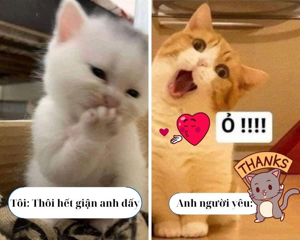 Cảm ơn meme