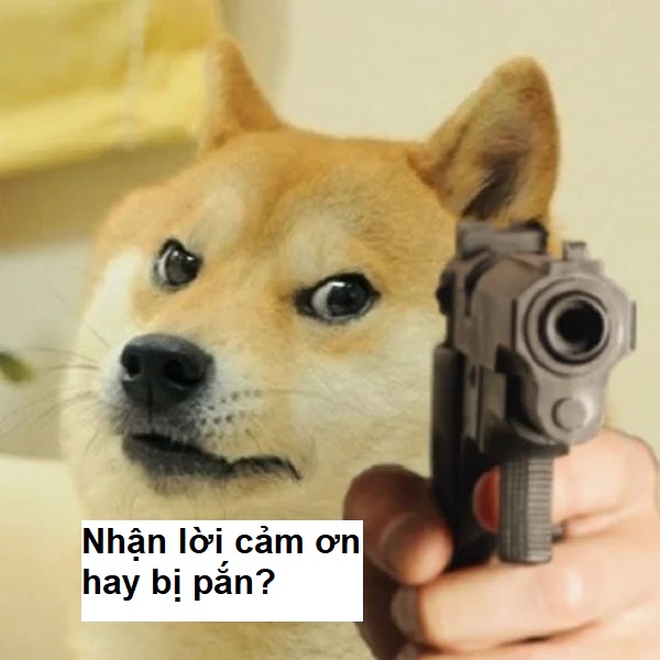 Chú chó meme cầm súng cảm ơn