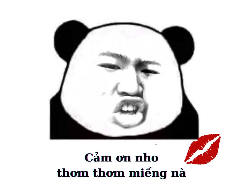 Panda cảm ơn và hôn