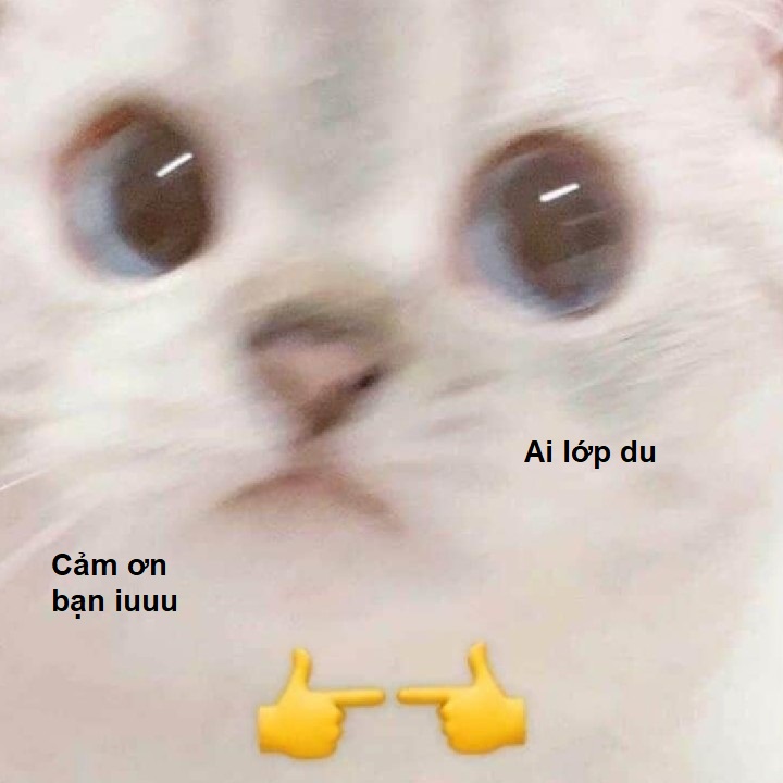 Meme Cảm Ơn Mèo Phomaique Dễ Thương