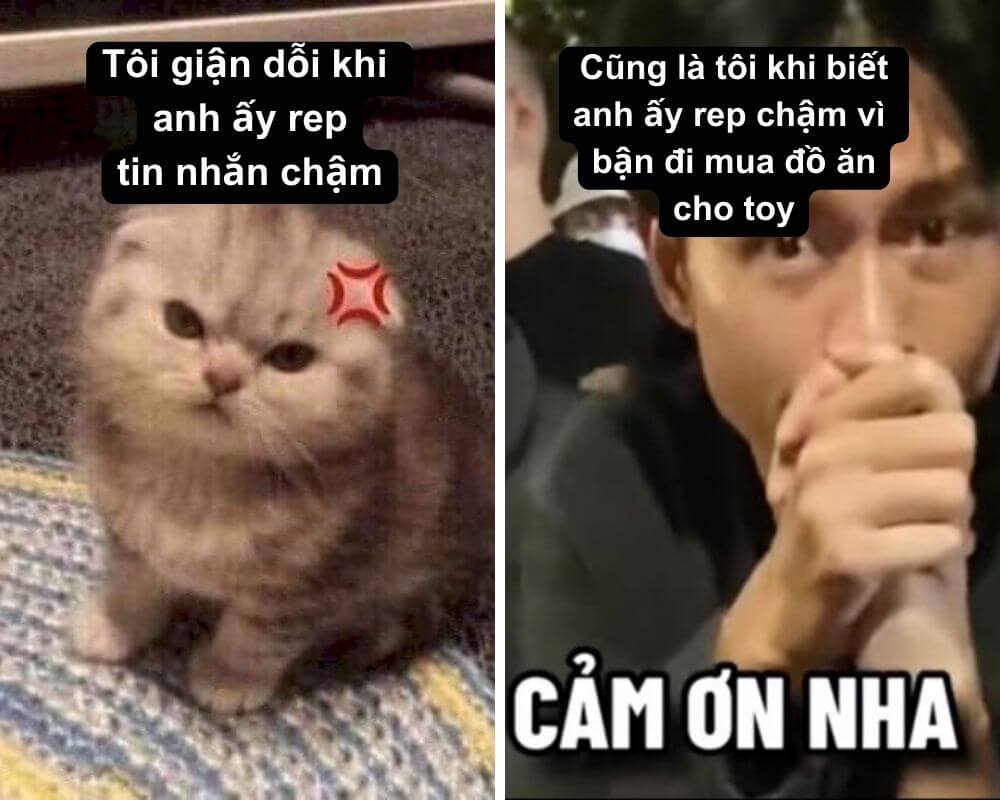 Cảm ơn meme