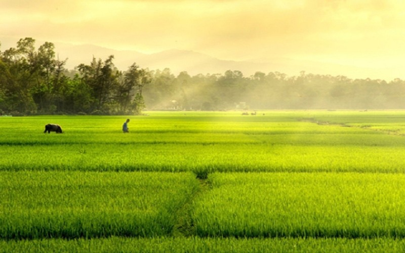 Những bài thơ của Lê Anh Xuân