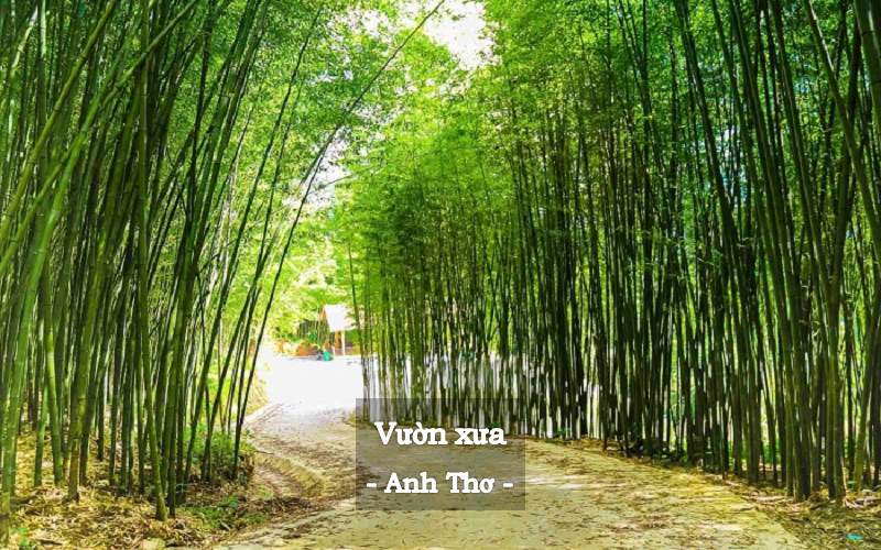 Tác phẩm của Anh Thơ