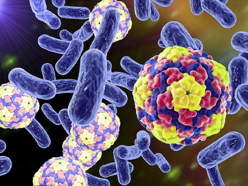 Đặc điểm của vi sinh vật