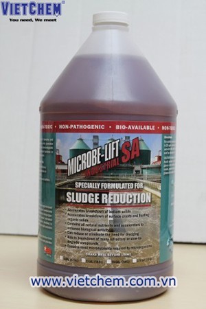 VietChem chuyên cung cấp sản phẩm vi sinh xử lý nước thải chất lượng, giá tốt