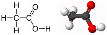   Cấu trúc phân tử của axit axetic CH3COOH