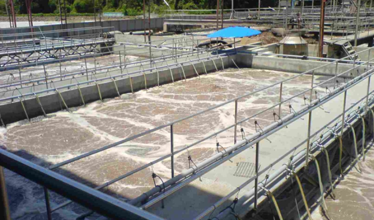 Sử dụng phương pháp sinh học trong xử lý nước thải