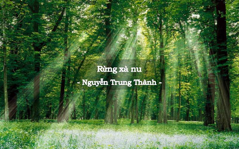 Tác phẩm tiêu biểu của Nguyễn Trung Thành