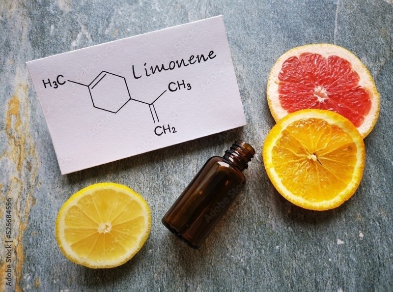 D – Limonene là hợp chất terpene, được chiết xuất từ vỏ trái cây
