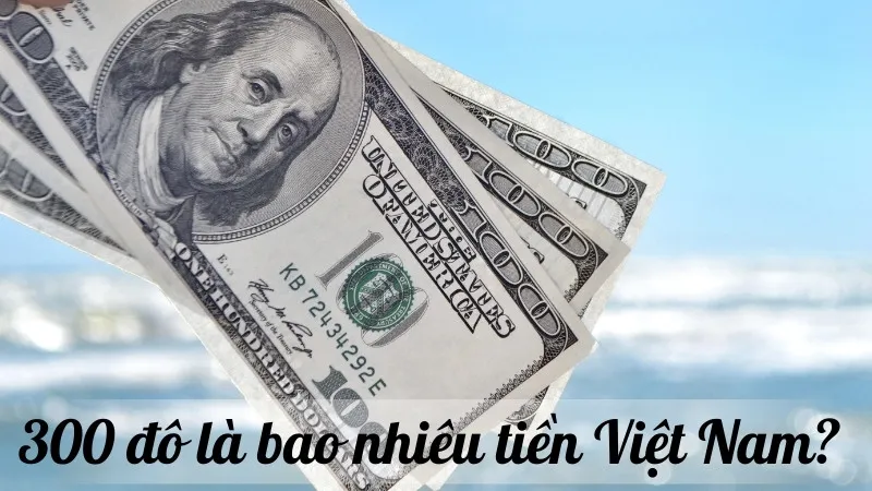 300 đô là bao nhiêu tiền Việt Nam? Cập nhật tỷ giá mới nhất hiện nay