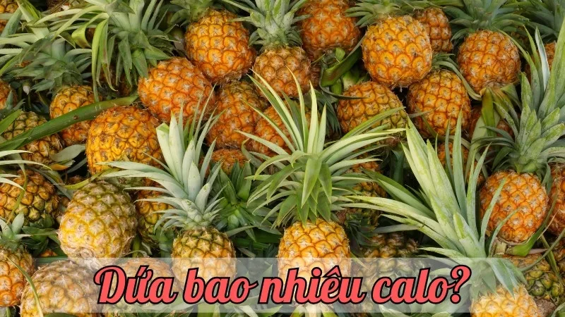 Dứa bao nhiêu calo? Cập nhật thông tin dinh dưỡng chi tiết