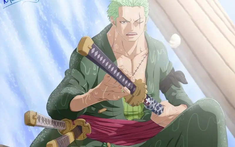 Những hình ảnh của Roronoa Zoro được thiết kế đặc biệt bởi các họa sĩ nổi tiếng