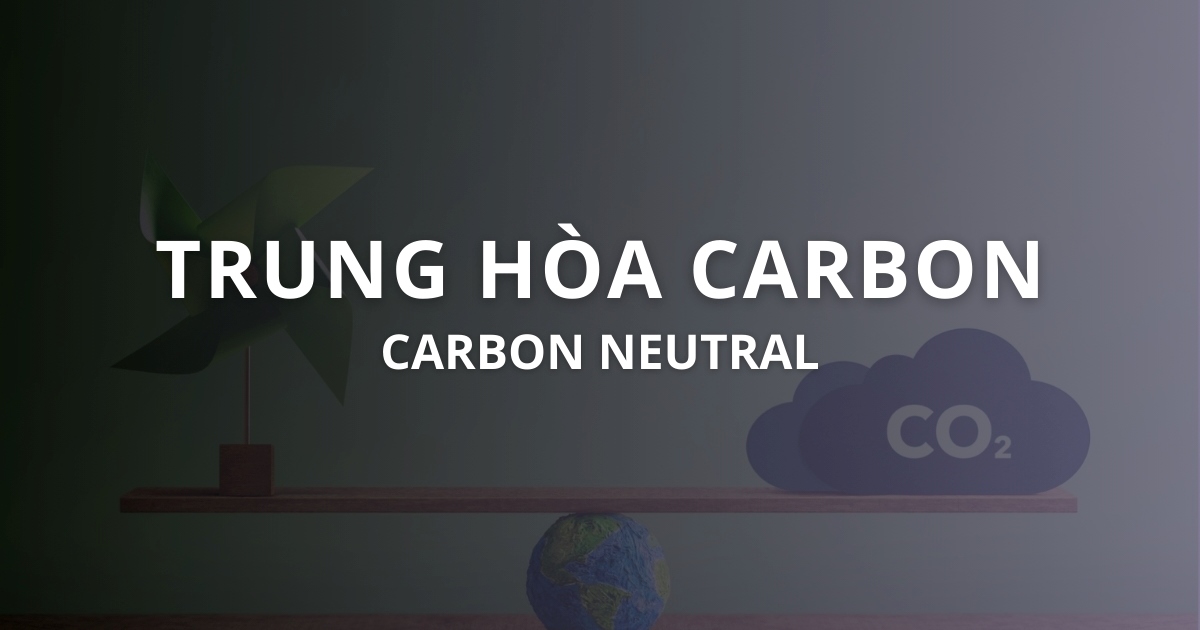 Trung hòa Carbon là gì? Phân biệt trung hòa Carbon và Net Zero