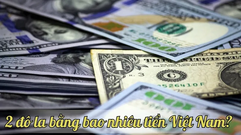 2 đô la bằng bao nhiêu tiền Việt Nam? Cập nhật tỷ giá mới nhất