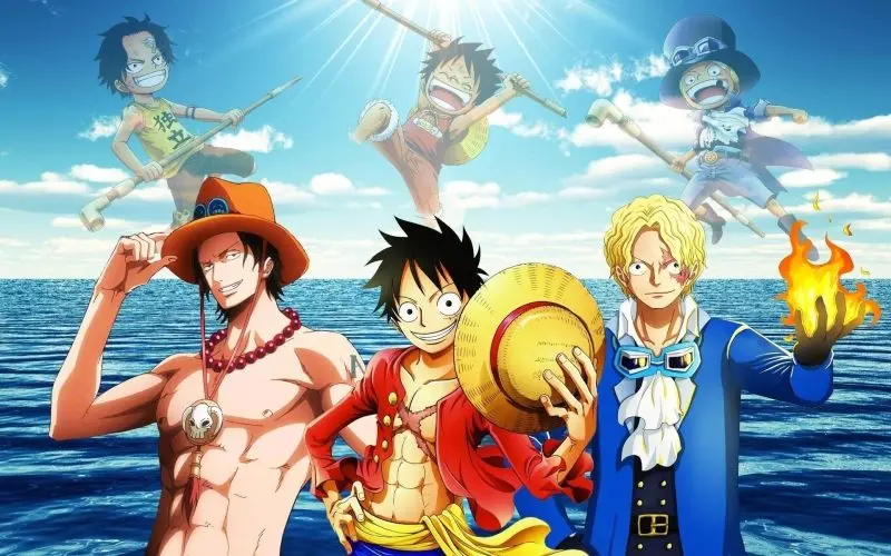 Những bức ảnh và bạn bè của Luffy - Tình yêu của đội rất mạnh mẽ.