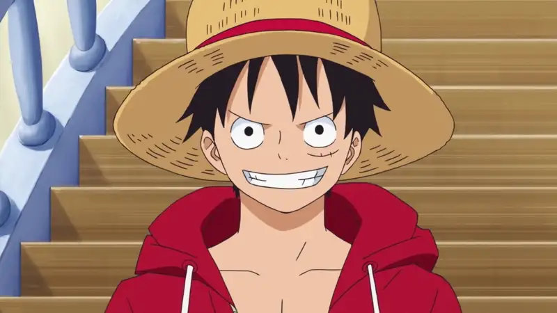 Khỉ D. Cuộc phiêu lưu của Luffy, qua mọi khung hình