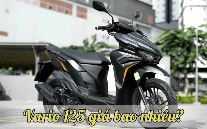 Vario 125 giá bao nhiêu? Cập nhật bảng giá mới nhất thời điểm hiện tại