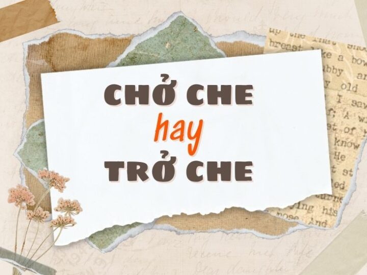 Chở che hay trở che đúng chính tả?