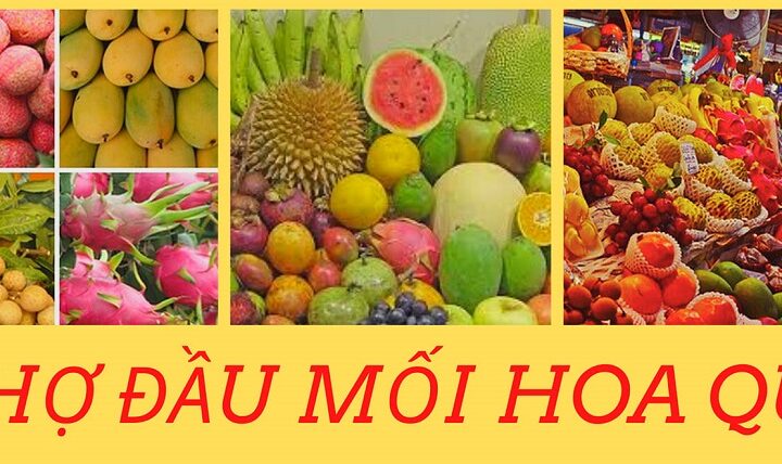 Top 5 chợ đầu mối hoa quả lớn nhất tại Việt Nam