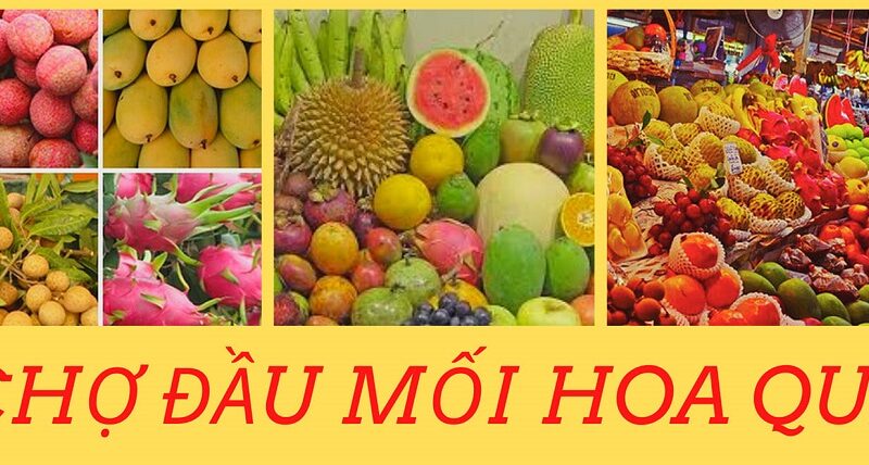 Top 5 chợ đầu mối hoa quả lớn nhất tại Việt Nam