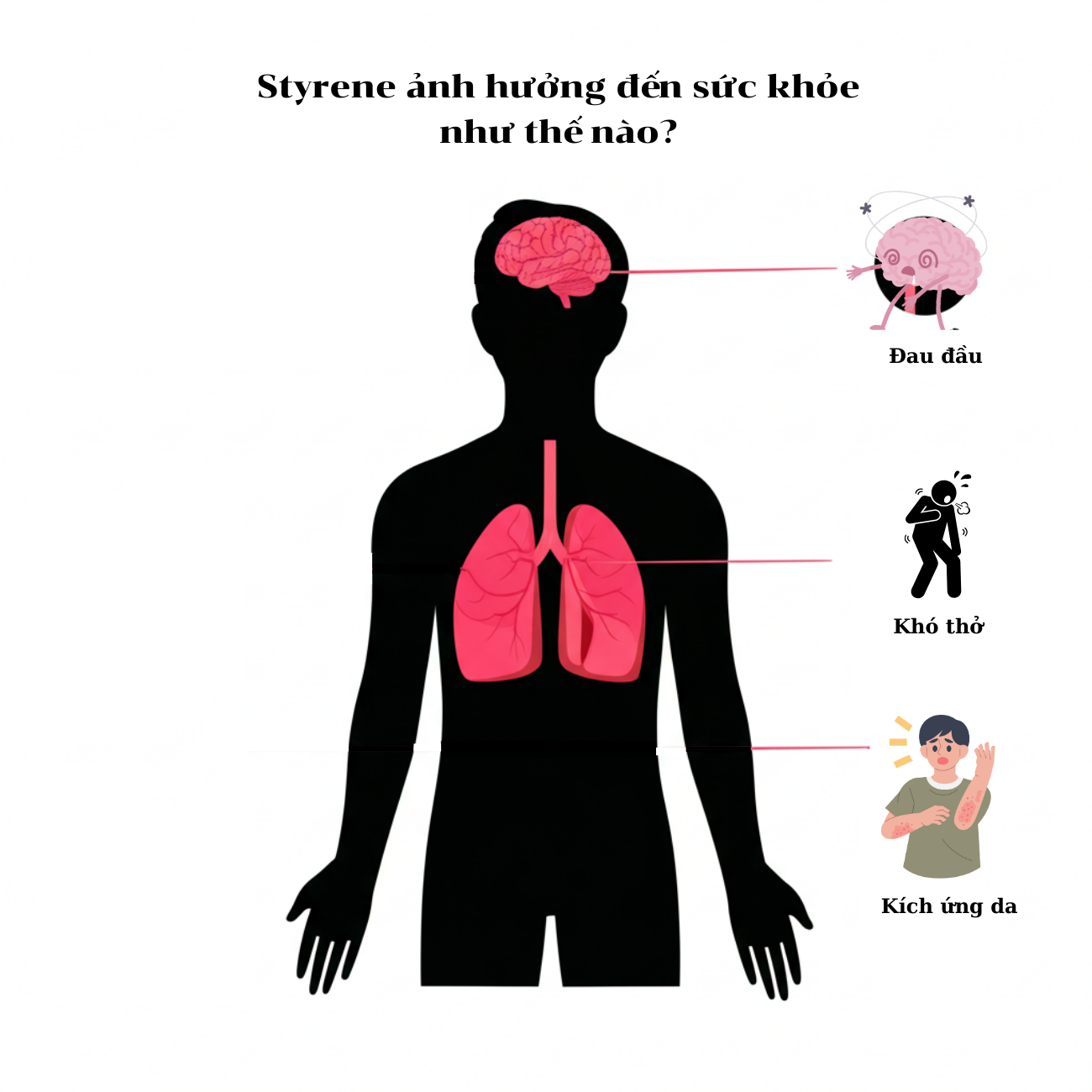 styrene-lề đường-lồng-den-suc-shows-con bạn