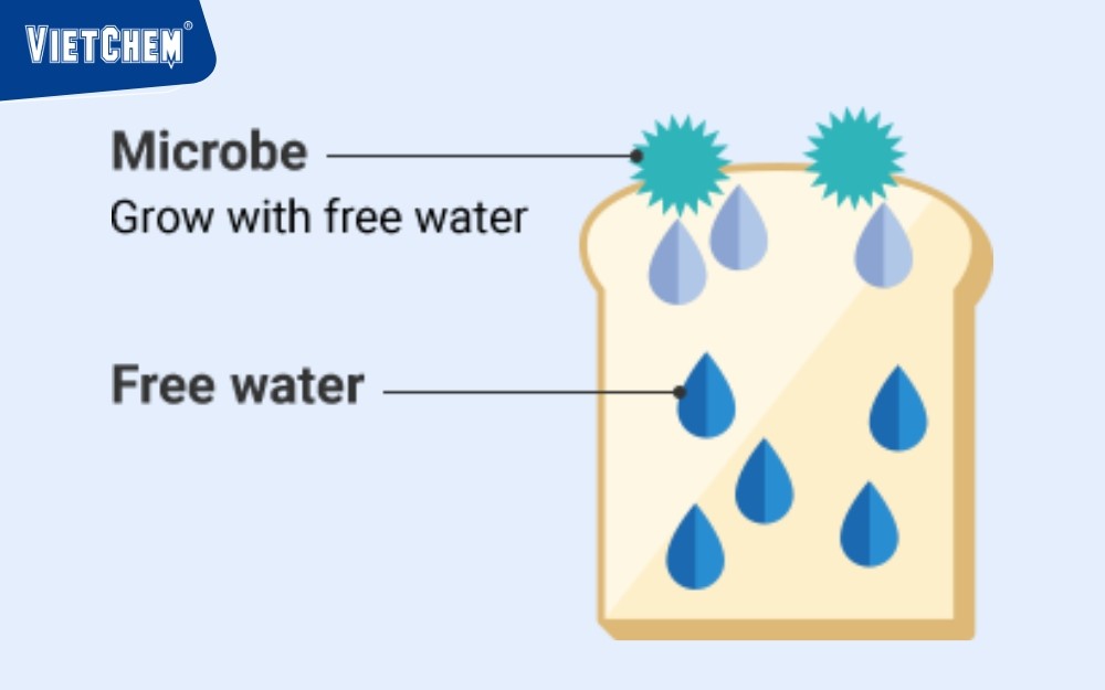 hoạt động-by-cua-country-1